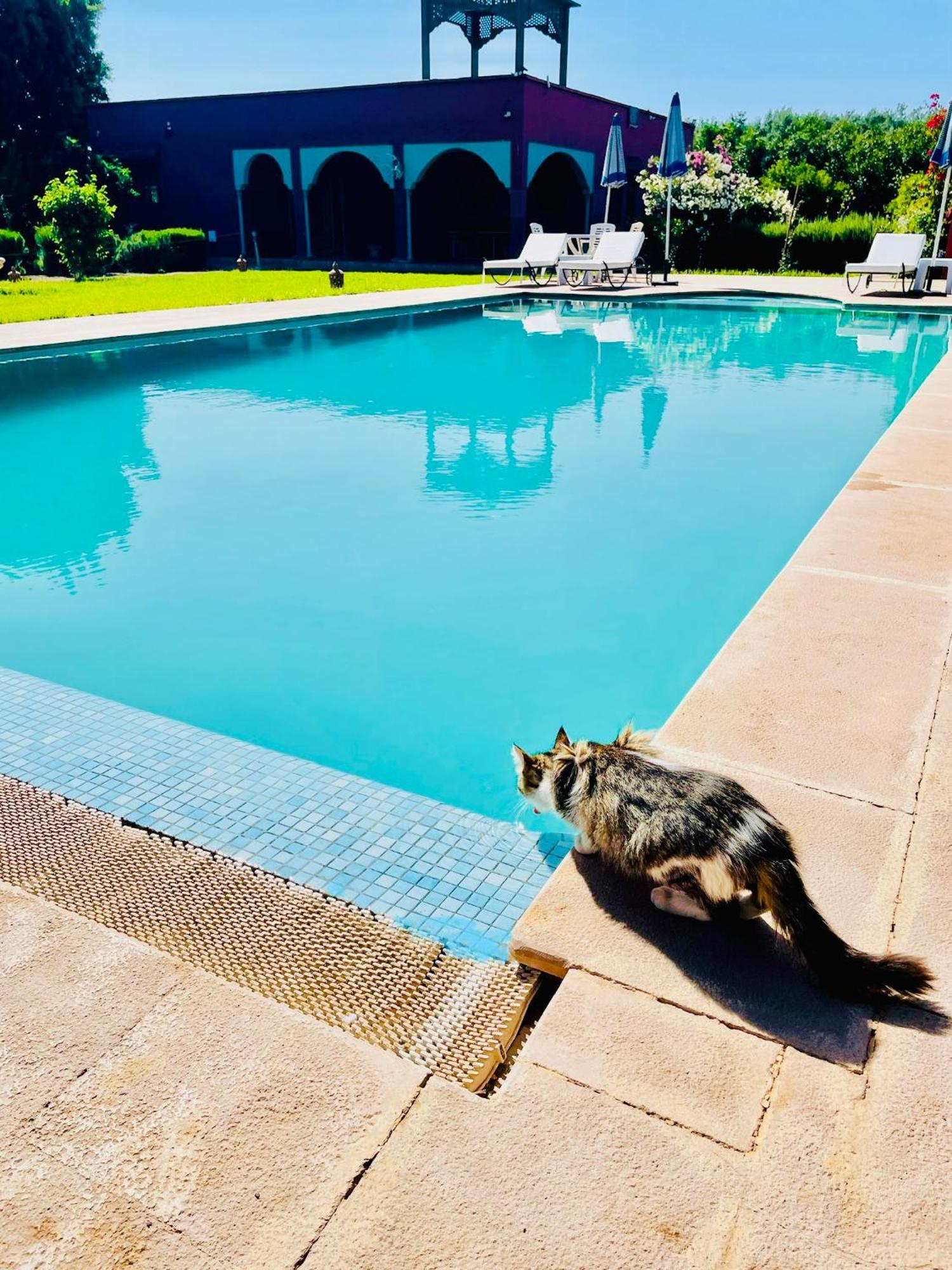 Villa Baddi Marrakech Lagouassem Exterior photo